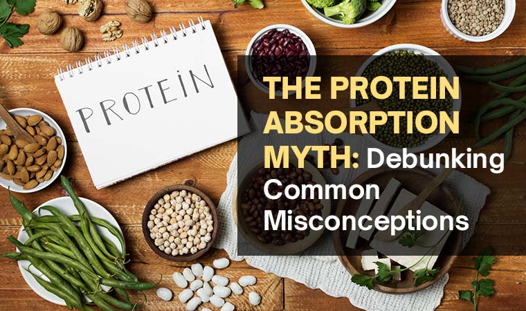 The Protein Absorption Myth: Debunking Common Misconceptions