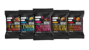 MINI E3 Energy Cubes Variety Pack - Mini Protein Bars
